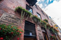 The Harp Bar Belfast