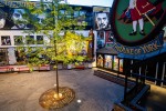 The Dark Horse Art Courtyard